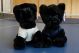 Panther Plush Pal