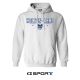 H-3643 Hoodie W/ Emb Art