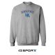 H-3644 Holton Ath. Crewneck